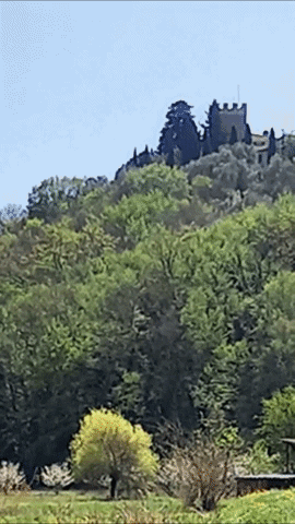 Simongip giphygifmaker GIF