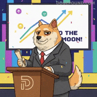 Shiba Inu Success GIF by Doge Pound