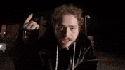 Saint Tropez GIF by Post Malone