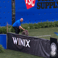 GIF by American Kennel Club