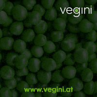 Vegini  GIF