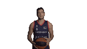 Liga Endesa Basketball Sticker by ACB