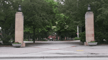 MSUMoorhead dragons msum minnesota state university moorhead take flight GIF