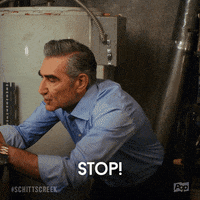 Pop Tv No GIF by Schitt's Creek