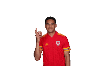 Euro 2020 Calcio Sticker by UEFA