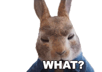 Scream What Sticker by Peter Rabbit Movie