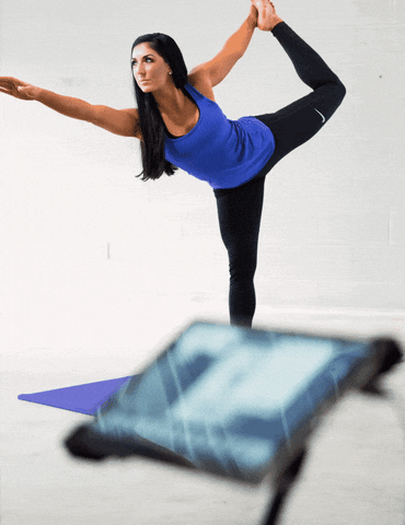 chrisbodven giphyupload GIF