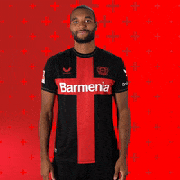 Bayer 04 Love GIF by Bayer 04 Leverkusen