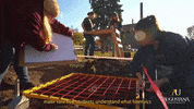 GIF by Augustana University