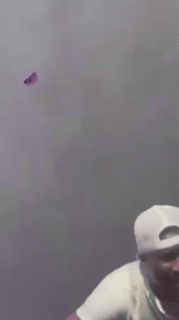 Mr P GIF by Puneet Bharaj