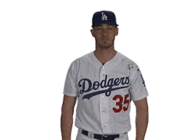 I Love La Regular Season Sticker by MLB