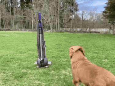 a7cd8aac97e14cb0a5fba964b05356a4 giphygifmaker giphygifmakermobile agility dog dog wrapping jump GIF