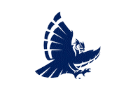 Rice University Sticker by Rice Owls