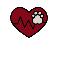 LeadERVET paw veterinary veterinarian follow the leader Sticker