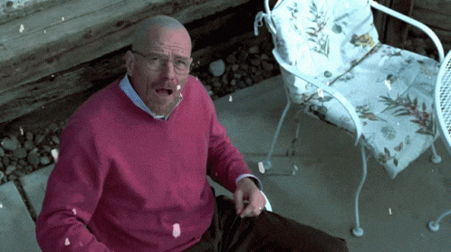 cloverheadd giphyupload christmas surprised walter GIF