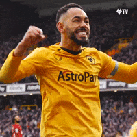Premier League Yes GIF by Wolves