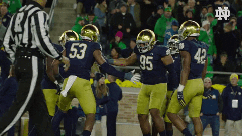 High Five Nd Football GIF by Notre Dame Fighting Irish