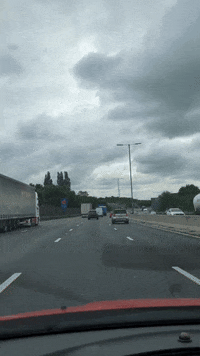GIF by Stella 52