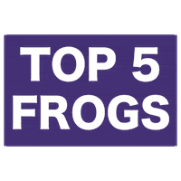 Tcu Football Go Frogs Sticker by TCU Alumni