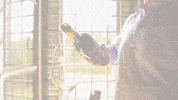 dantewine wine italy italian dante GIF