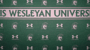 Iwuwvb24 GIF by iwusports