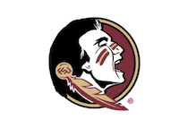 gold fireworks Sticker by Florida State University
