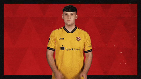 Dynamo Dresden Football GIF by Bundesliga