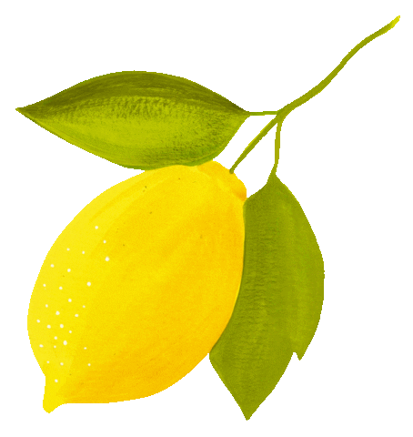 Lemon Tree Summer Sticker