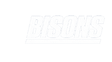 Basketball Koripallo Sticker by Bisons