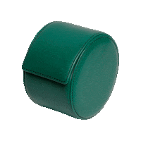 Watch Accessories Sticker by Kross Studio