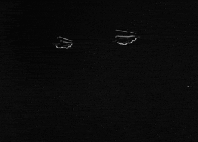 sad black and white GIF