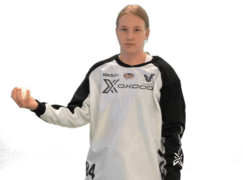Floorball Salibandy Sticker by F-liiga
