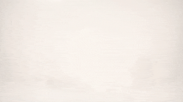 Clarice Falcao Deus GIF by Porta Dos Fundos