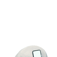 What The Fish Wtf Sticker by NerdWallet