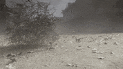 GIF by AMC Latinoamérica