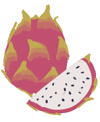 Dragon Fruit Art Sticker