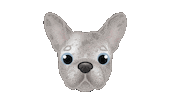 French Bulldog Sticker by zoopeez
