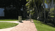 the u lake osceola GIF by Miami Hurricanes