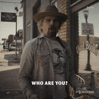 Confused Who Are You GIF by FX Networks