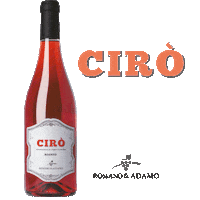 Food Wine Sticker by romanoeadamo
