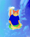 Cat GIF by PEEKASSO