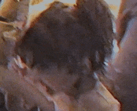 929 GIF by Halsey