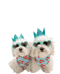 Dogs Rubbing Sticker by HammyandBrody