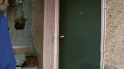 Music Video Smile GIF by Peach Pit