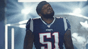 Excuse Me What GIF by New England Patriots