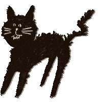 Black Cat Sticker
