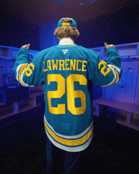 Happy St Louis Blues GIF by NHL