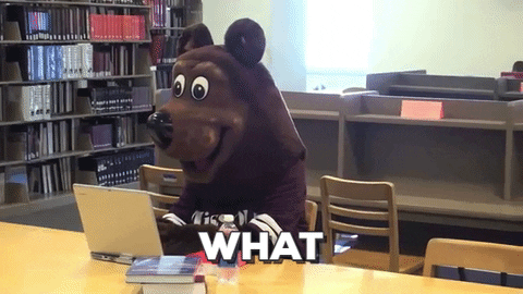 missouristate GIF by Missouri State University