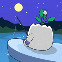 Camping Gone Fishing GIF by Magic Eden