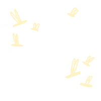 Magic Bugs Sticker by Cris